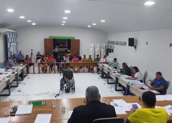 Vereadores cumprem o calendário legislativo com a realização da sessão ordinária