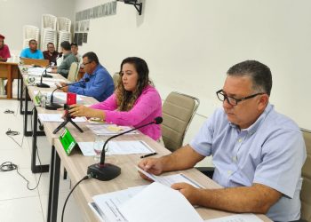 Câmara Municipal de Nanuque retoma suas atividades normais após o recesso parlamentar, seguindo o calendário legislativo