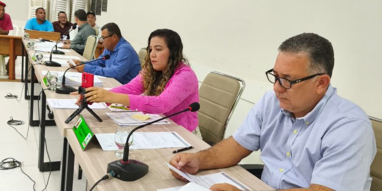 Câmara Municipal de Nanuque retoma suas atividades normais após o recesso parlamentar, seguindo o calendário legislativo