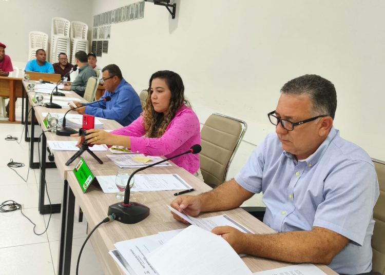 Câmara Municipal de Nanuque retoma suas atividades normais após o recesso parlamentar, seguindo o calendário legislativo